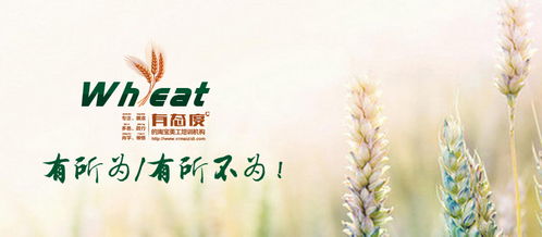 杭州平面設(shè)計培訓(xùn)課程 同構(gòu)在圖形設(shè)計創(chuàng)意中的應(yīng)用